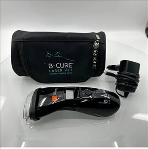 B-cure laser vet 