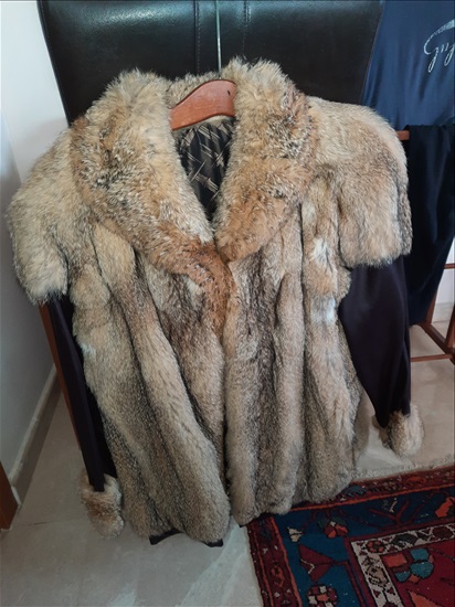 תמונה 1 ,מעיל פרוות שועל  למכירה בהרצליה יד-שניה לנשים  שונות