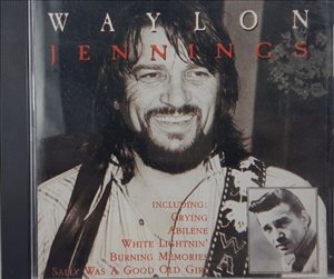 Waylon Jennings Back in the Sa 
