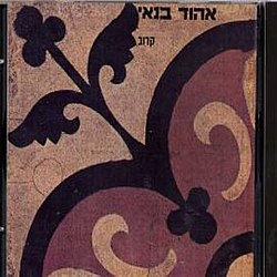 אהוד בנאי קרוב 