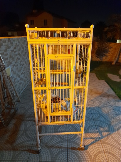 תמונה 1 ,כלוב ציפורים 1.20 מטר למכירה באשקלון שונות  שונות