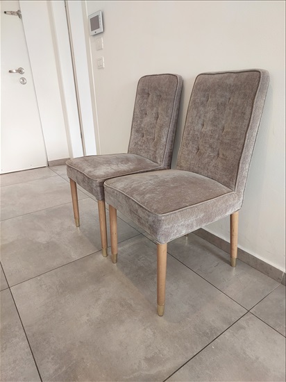 תמונה 1 ,6 כיסאות במצב חדש של חברת ביתי למכירה ברעננה ריהוט  כיסאות