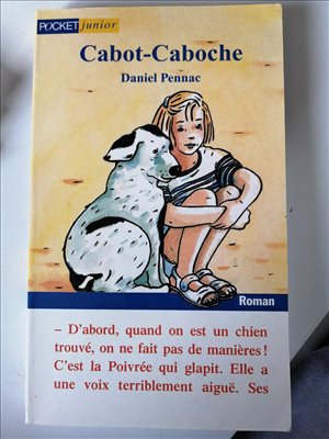 BOOK IN FRENCH 