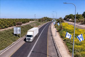 לגינה - מתקן לדגל ישראל לעמוד עגול <br>       