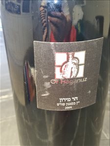 הר מירון פורט דאבל מגנום 