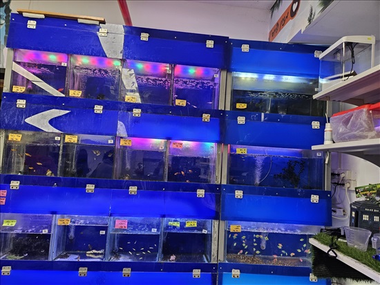 תמונה 2, אקווריום ענק מחולק ל- 18 תאים למכירה בירושלים  | שונות  שונות