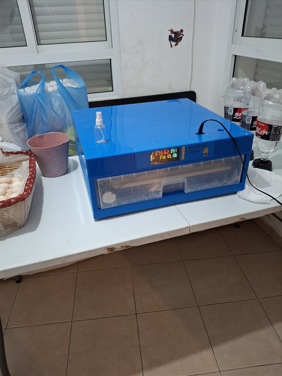 תמונה 1, מדגרת ביצים ואומנת חדשים  למכירה במאור | כלי עבודה  אחר