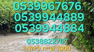 מספר זהב 