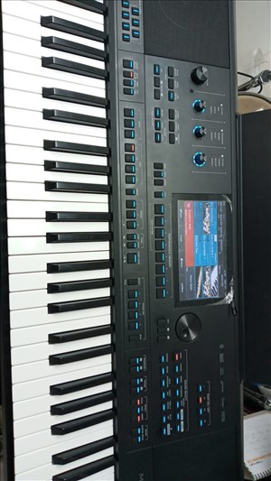 כלי נגינה קלידים 22 