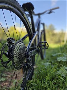 trek slash 9.7 