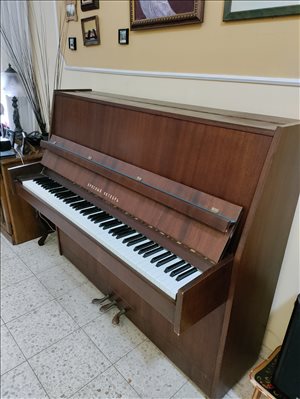 כלי נגינה - פסנטר אקוסטי  אוקטובר העדום  <br>     ... 