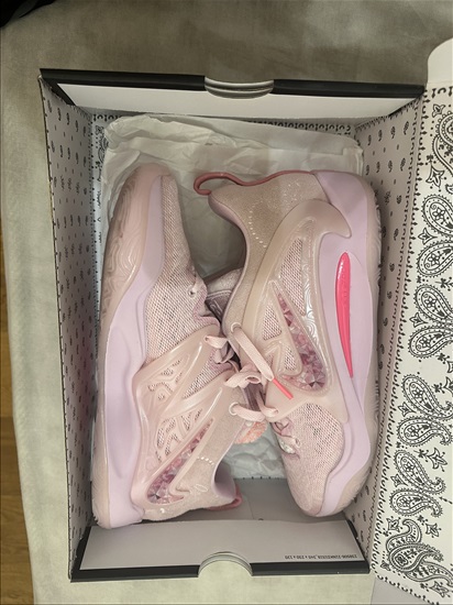 תמונה 7 ,נעלי כדורסל KD 15 aunt pearl למכירה בהרצליה ציוד ספורט  אביזרי ספורט