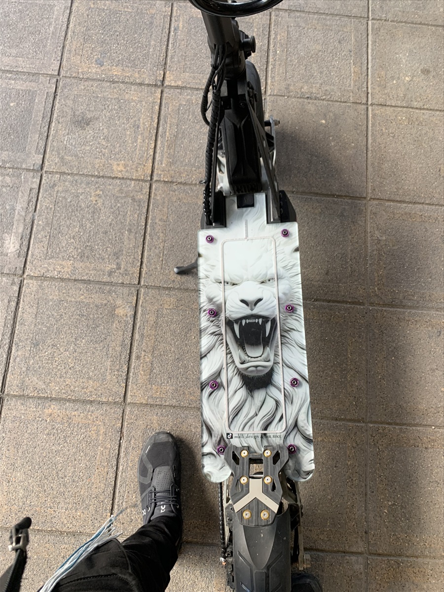 תמונה 1, האריה הלבן למכירה בחולון | קורקינטים  קורקינט חשמלי