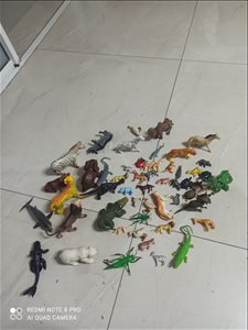מעל 50 חיות שונות גדלים שונים 
