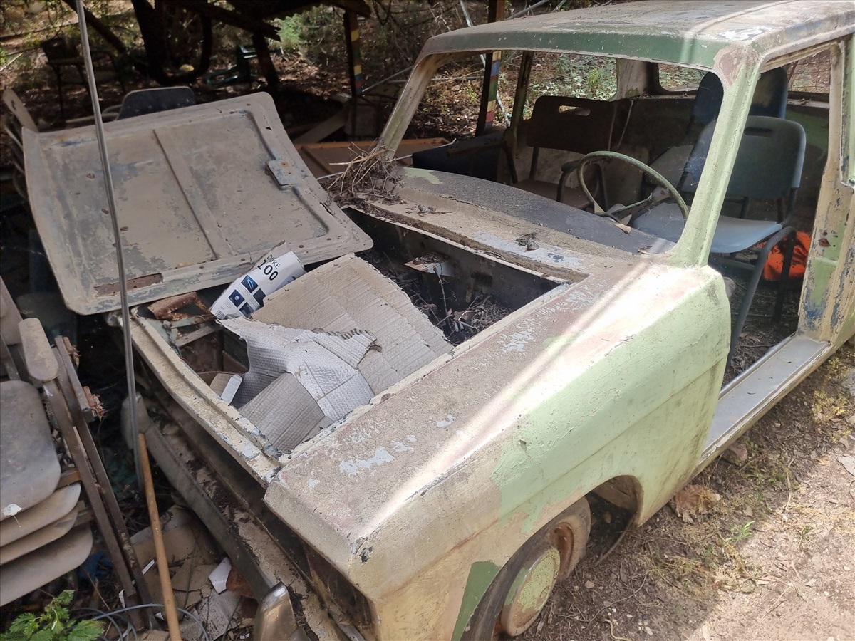 תמונה 1, סוסיתא  למכירה באבני חפץ | אספנות  שונות