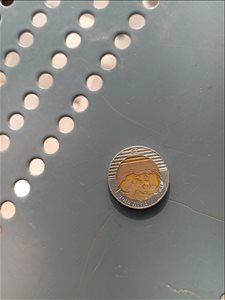מטבע של עשר עם ציור של גולדה  