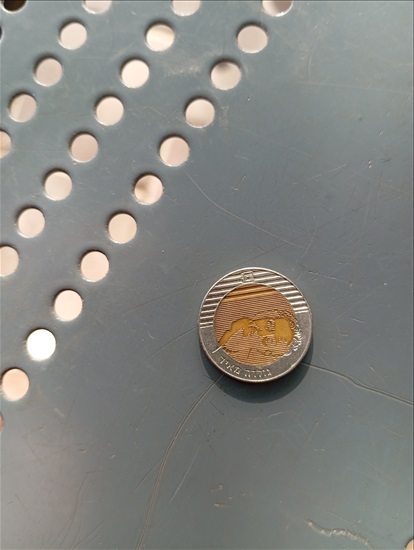 תמונה 1 ,מטבע של עשר עם ציור של גולדה  למכירה בירושלים אספנות  מטבעות ושטרות