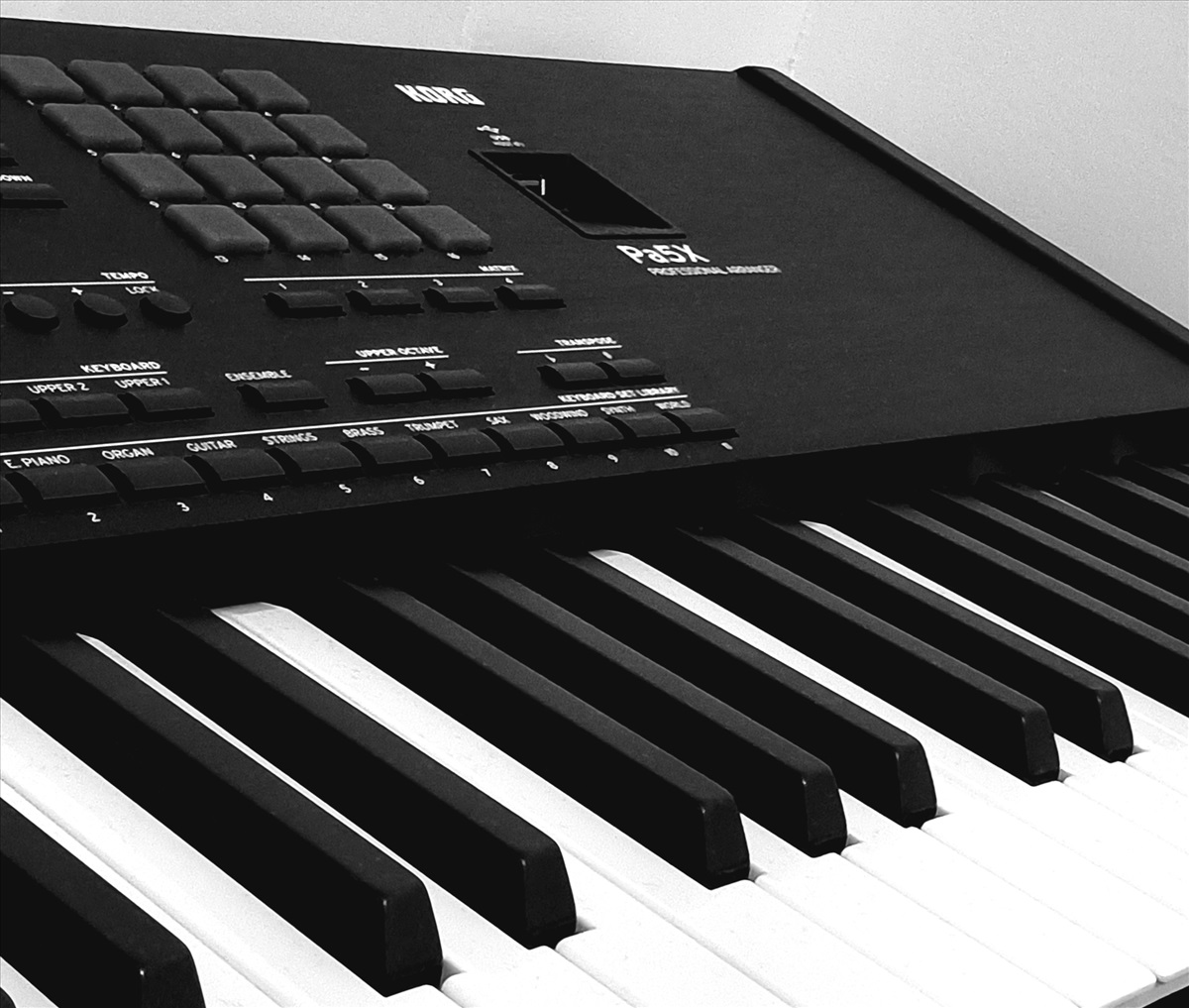 תמונה 1, Korg pa5x למכירה בבית שמש | כלי נגינה  אורגן