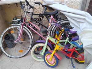 קורקינטים קורקינט 25 