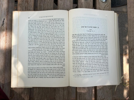 תמונה 8 ,השקפת העולם של התנך למכירה בנתניה ספרות ומאמרים  ספרי לימוד