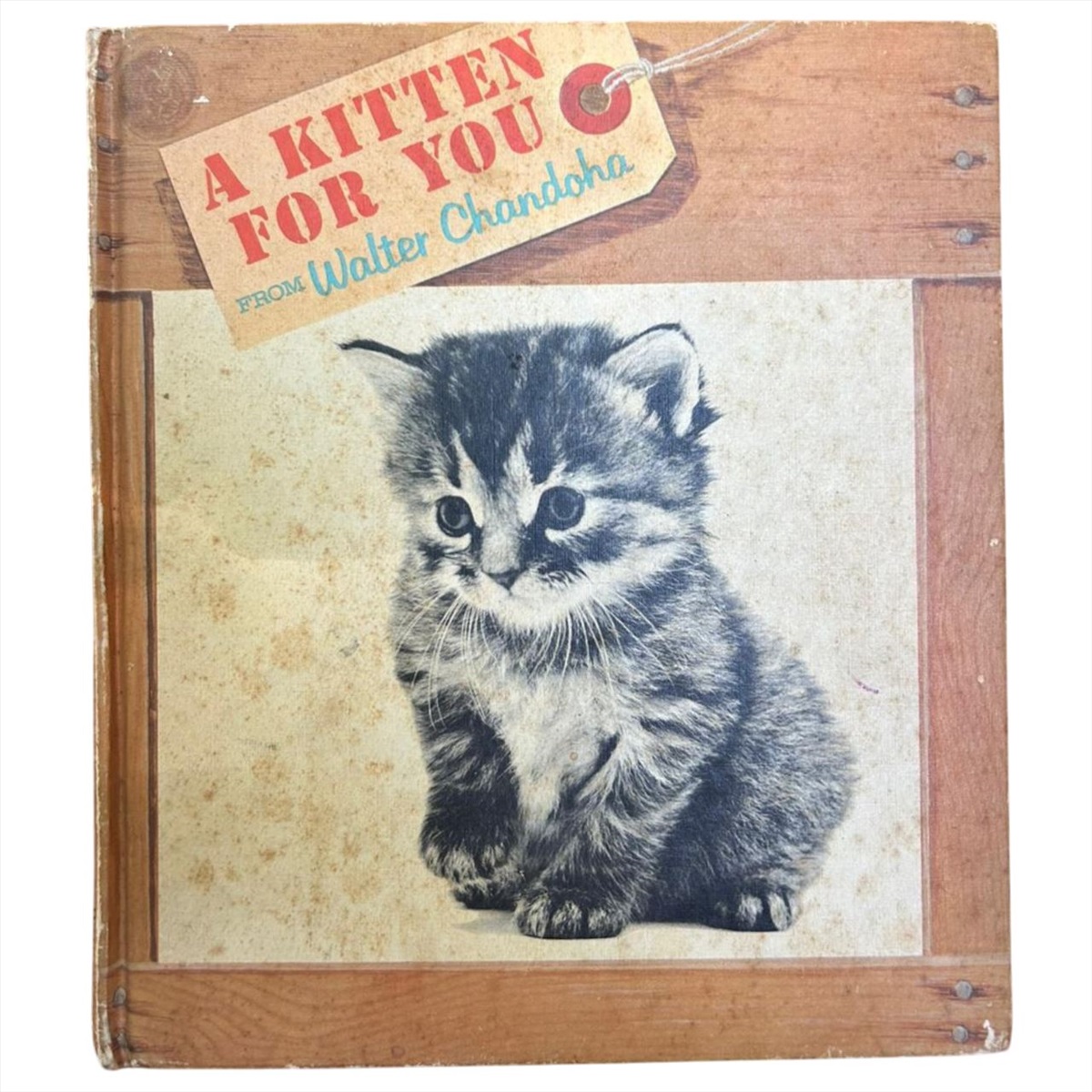 תמונה 1, ספר A Kitten for You  למכירה בנתניה | ספרות ומאמרים  שפה זרה