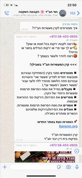 סלון עור ניקולטי 