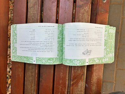 ספרות ומאמרים - ספר יופי של סלטים בני סיידא <br>  ... 