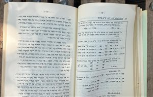 ספרות ומאמרים - ספר תורת כתיב העברי 1965 <br>     ... 
