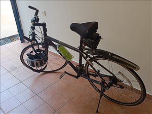 אופני כביש קרבון מצוינים 