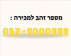 מספרי זהב  