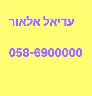 מספר זהב 