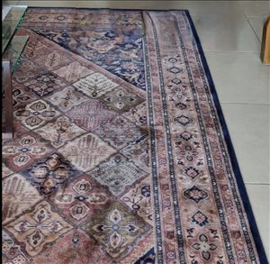 שטיח בלגי מצמר 2.50×3.50.  