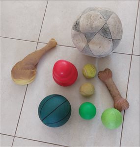 לגינה אחר 9 