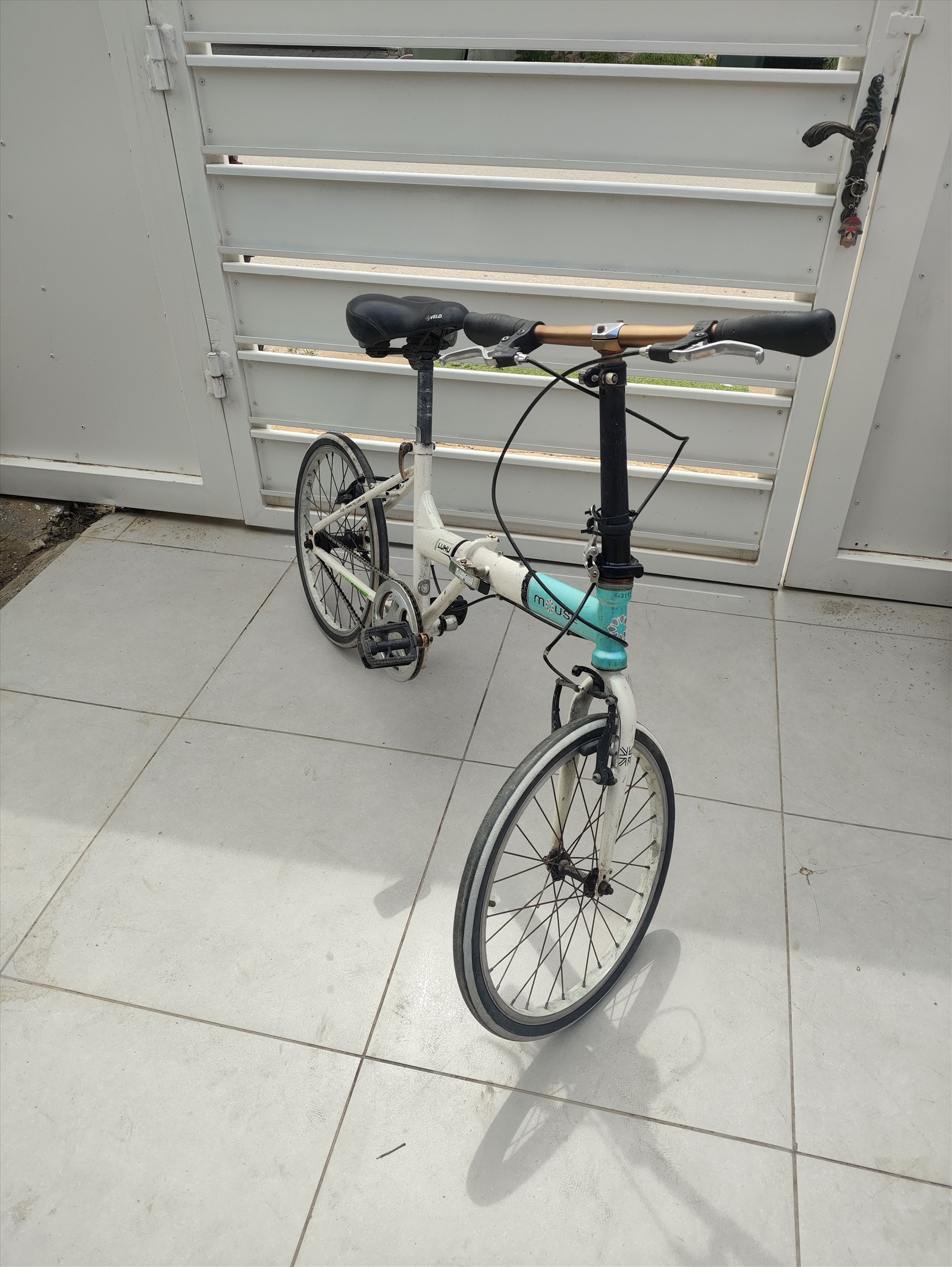 תמונה 1, אופניים מתקפלים סינגל ספיד  למכירה בפתחיה | אופניים  אופניים מתקפלים