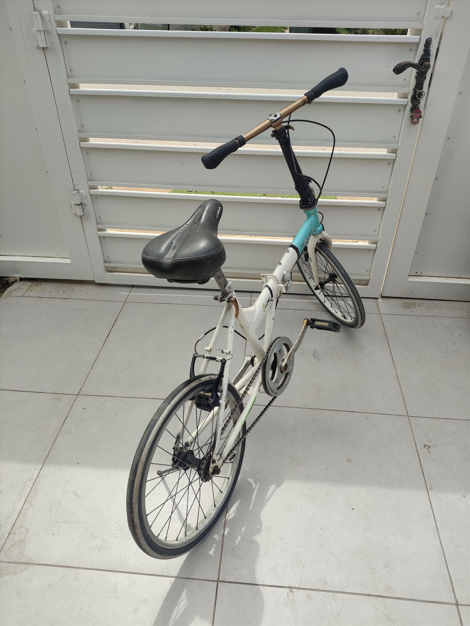 תמונה 4, אופניים מתקפלים סינגל ספיד  למכירה בפתחיה | אופניים  אופניים מתקפלים