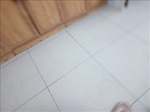ארון ספריה קודש 