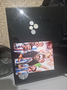 הספנות  