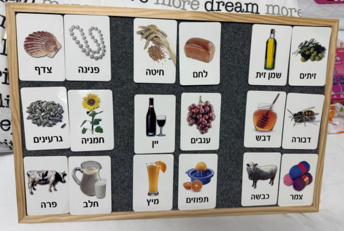 תמונה 4, לוח לימוד ביתי חדש עם כרטיסיות למכירה בקרית מוצקין | לתינוק ולילד  אחר