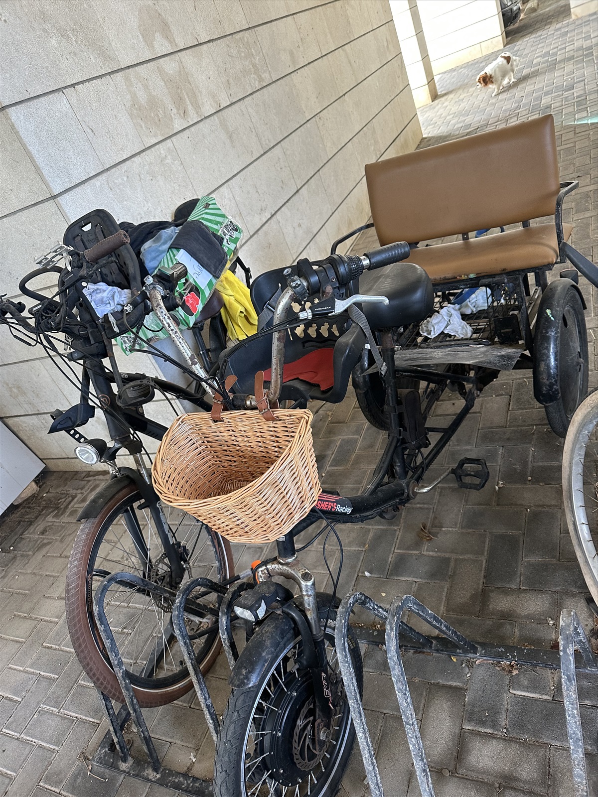 תמונה 4, תלת אופן למכירה באלישיב | אופניים  אופניים חשמליים