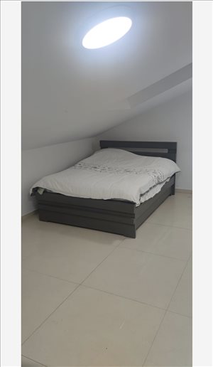 מיטה 