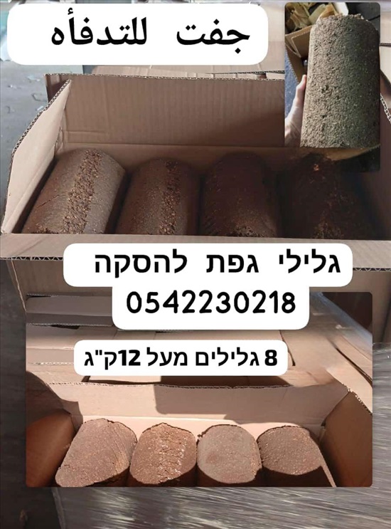 תמונה 3 ,עץ להסכא  למכירה בבית ג'ן שונות  שונות