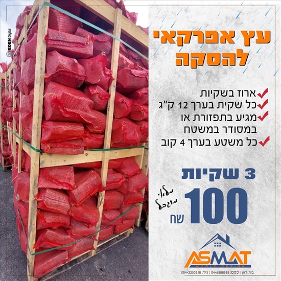 תמונה 4 ,עץ להסכא  למכירה בבית ג'ן שונות  שונות