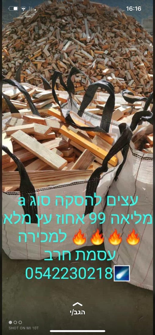 תמונה 7 ,עץ להסכא  למכירה בבית ג'ן שונות  שונות