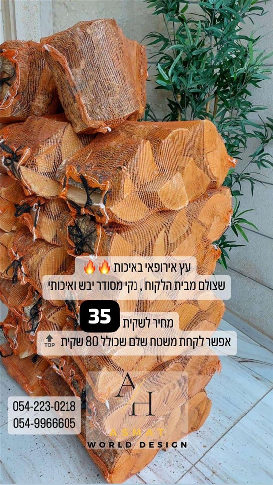 תמונה 6 ,עץ להסכא  למכירה בבית ג'ן שונות  שונות