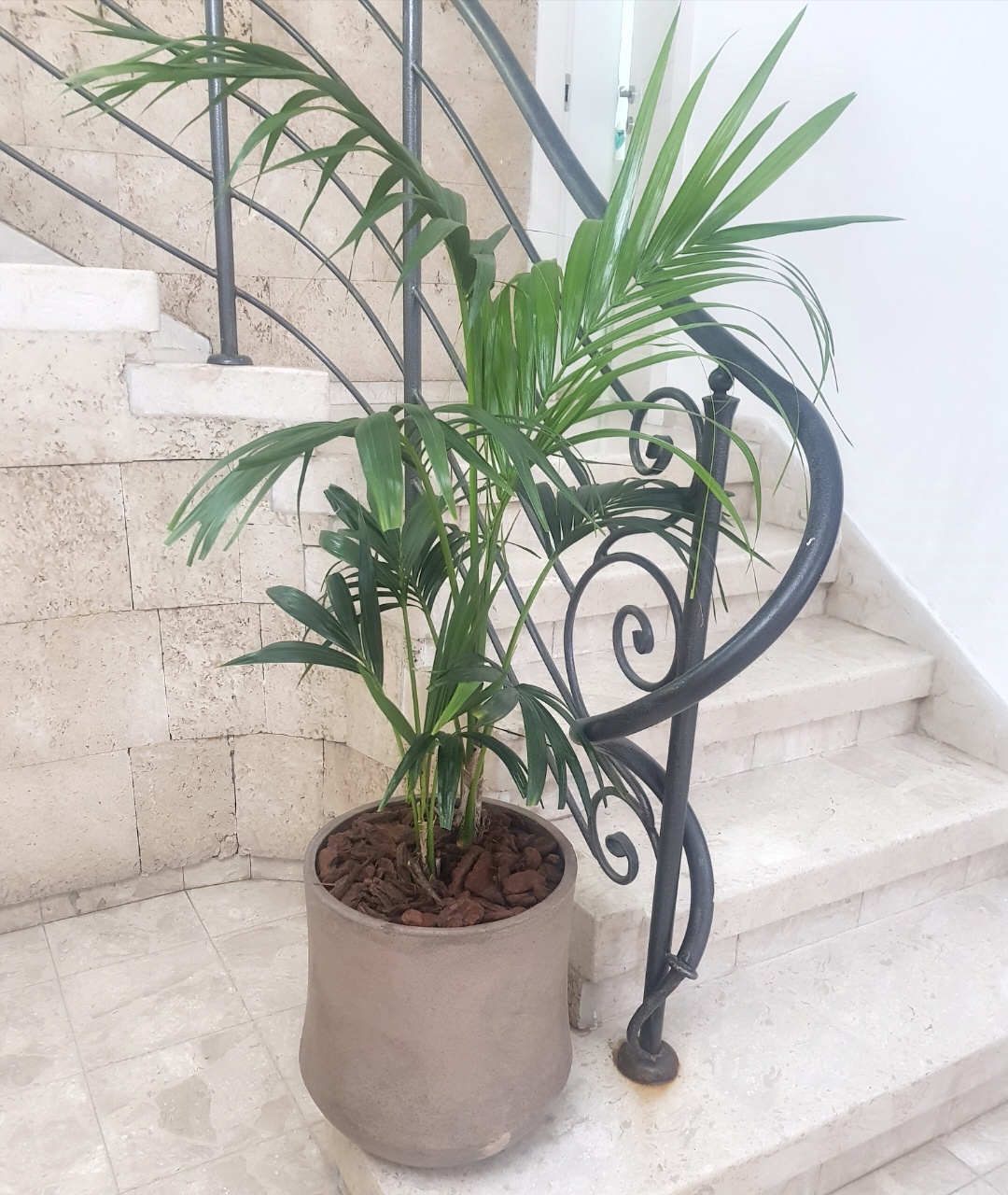 תמונה 2, מעקה למכירה בנתיבות | לבית  אחר