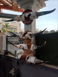 אומנות -  מצמצם את האוסף למכירה: קרניים <br>      ... 