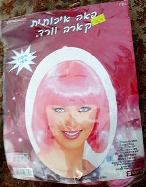 פורים - אביזרים לתחפושת של סוקובוסית <br>       