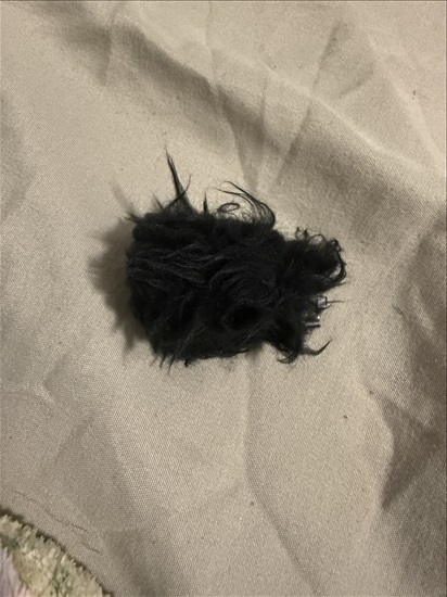 תמונה 3 ,Sony zv-f1 למכירה בתל אביב צילום  מצלמה דיגיטלית
