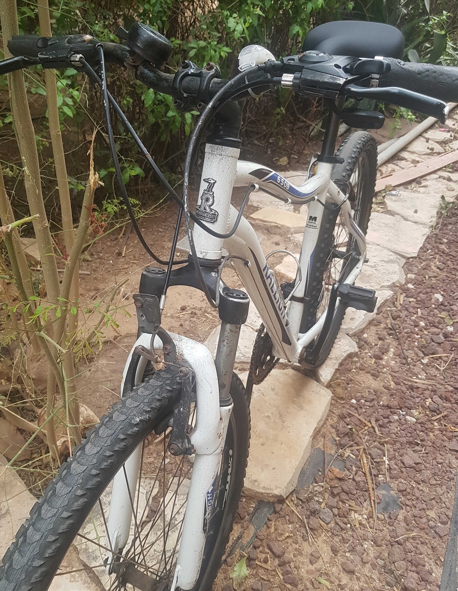 תמונה 3, RALEIGH 650B-MOUNTAIN למכירה בנתניה | אופניים  הרים זנב קשיח