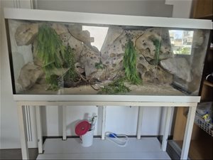 לבית חפצי נוי 37 